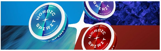 Nordic spirit banner 01